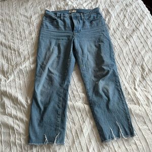Madewell the perfect vintage straight Jean